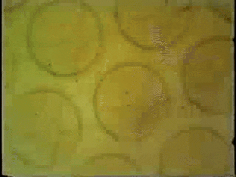 A Colour Box (1935).mp4.8.gif